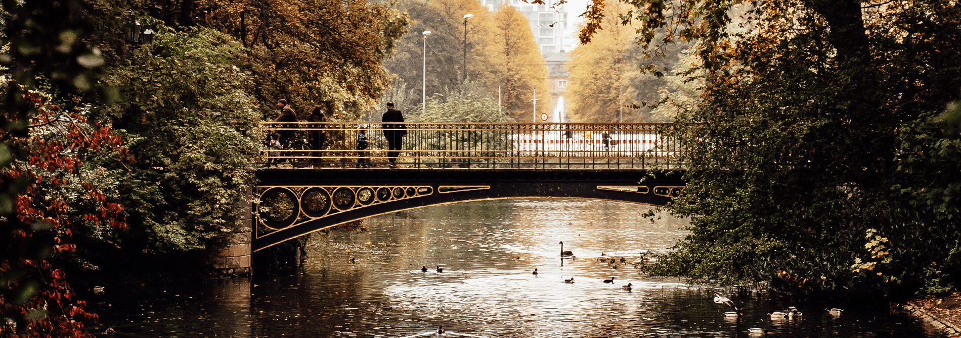 Brücke am Teich im Hofgarten